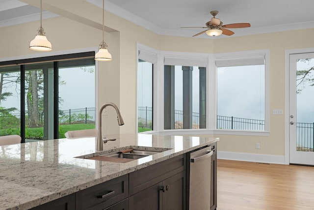 kitchen featuring stainless steel dishwasher, a sink, light wood finished floors, and a healthy amount of sunlight