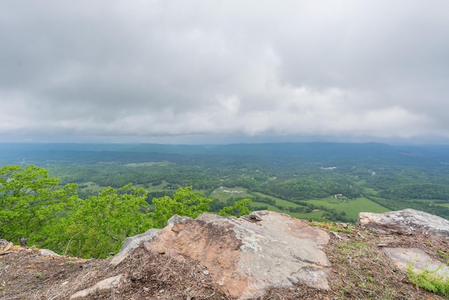 bird's eye view featuring a forest view