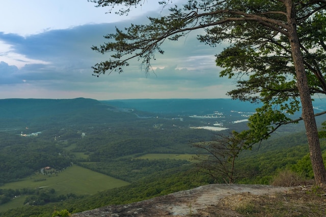 view of mountain feature