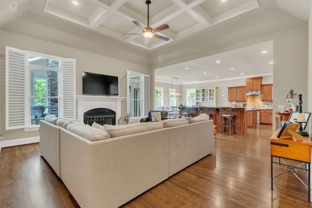 living area with ceiling fan, wood finished floors, a wealth of natural light, and a fireplace