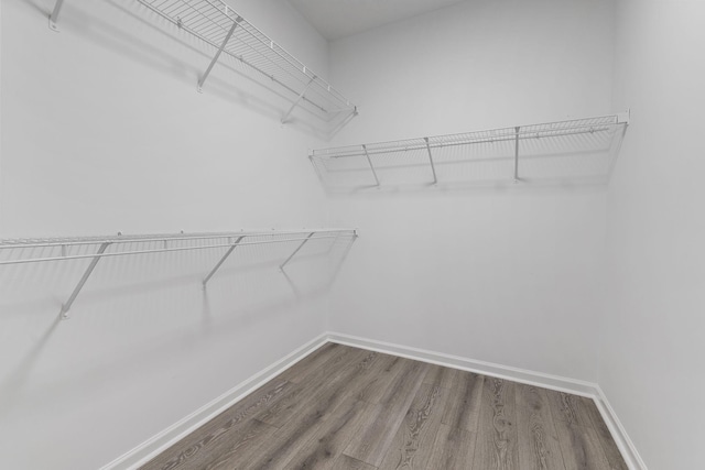 spacious closet with wood finished floors