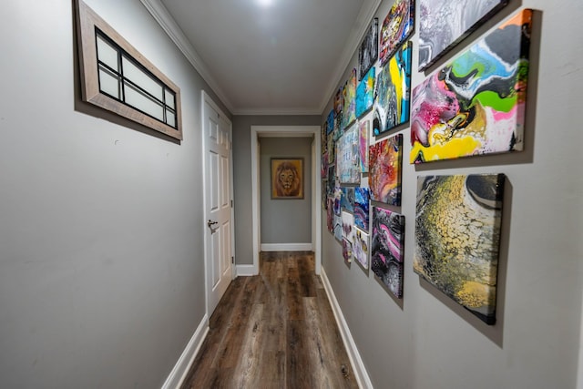 corridor featuring baseboards, ornamental molding, and dark wood-type flooring