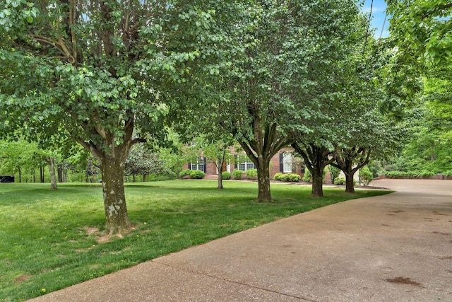 view of property's community featuring a lawn