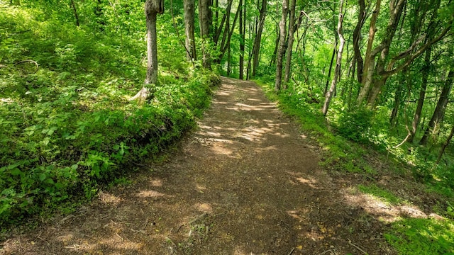 1545 Gravel Hill Rd, Columbia, TN 38401 - view of road featuring a forest view