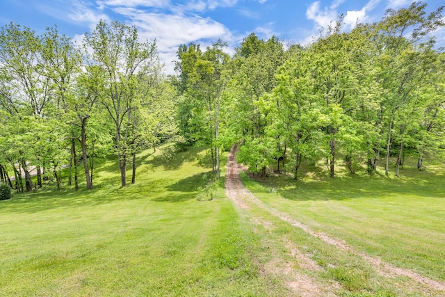 1545 Gravel Hill Rd, Columbia, TN 38401 - view of yard