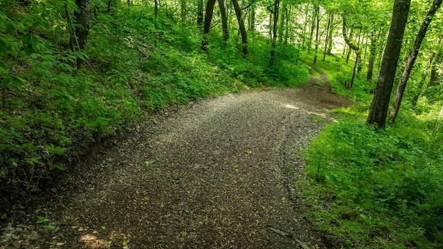 1545 Gravel Hill Rd, Columbia, TN 38401 - view of landscape