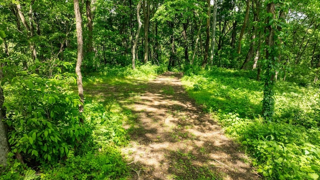 1545 Gravel Hill Rd, Columbia, TN 38401 - view of nature with a view of trees
