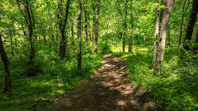 1545 Gravel Hill Rd, Columbia, TN 38401 - view of landscape featuring a forest view