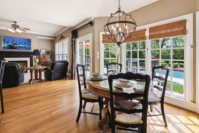 dining space with ceiling fan with notable chandelier, crown molding, a lit fireplace, and light wood-type flooring