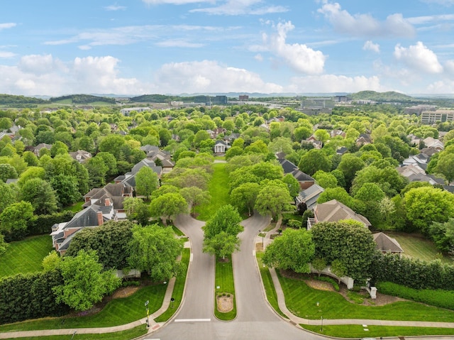 drone / aerial view