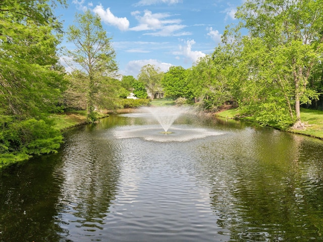 water view