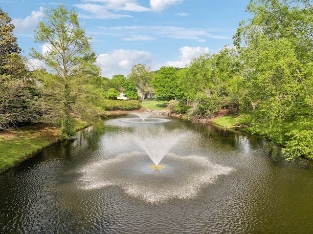 view of water feature