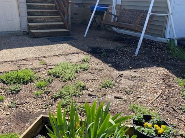 view of yard with a vegetable garden
