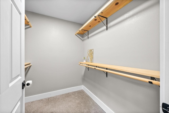 77 Deepwood Est, Cadiz, KY 42211 - spacious closet with carpet floors