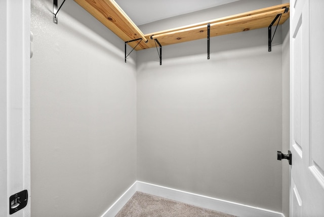 77 Deepwood Est, Cadiz, KY 42211 - spacious closet featuring carpet