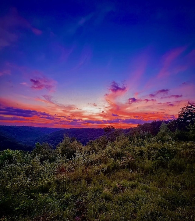 property view of mountains with a forest view