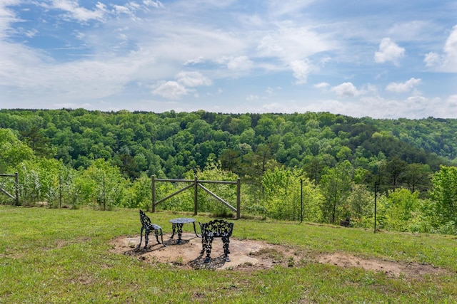 view of yard featuring a forest view