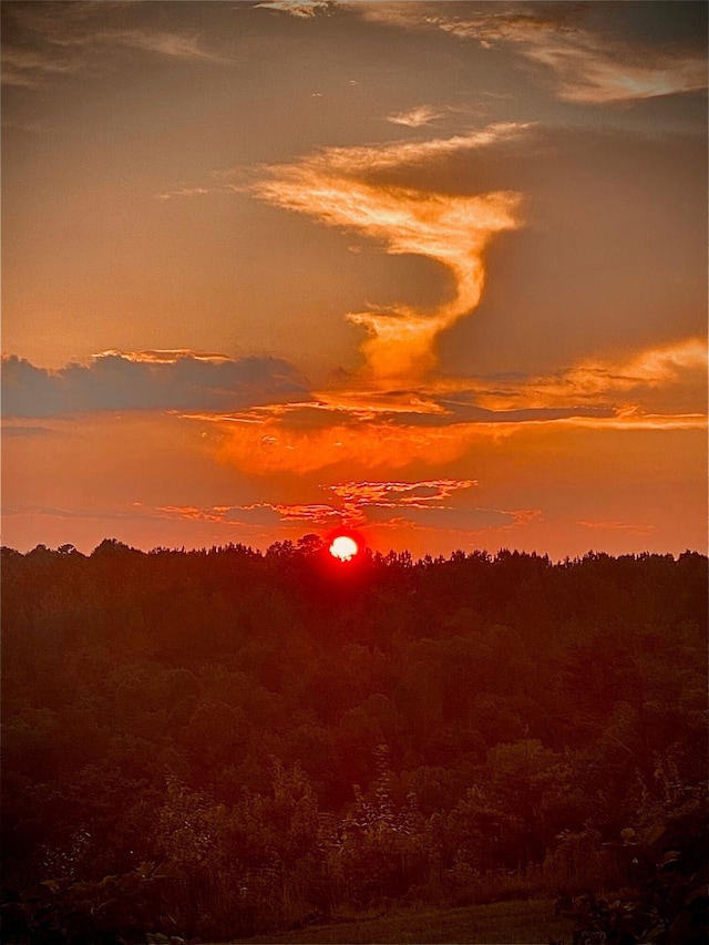 view of nature with a forest view