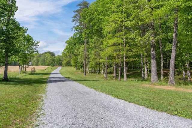 view of road with a forest view