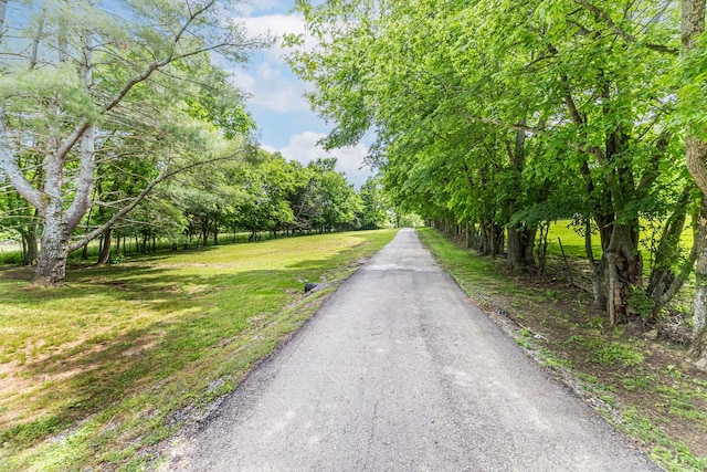 3124 Southall Rd, Franklin, TN 37064 - view of road