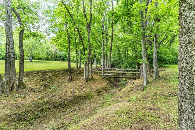 3124 Southall Rd, Franklin, TN 37064 - view of yard