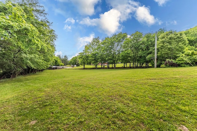 3124 Southall Rd, Franklin, TN 37064 - view of grassy yard
