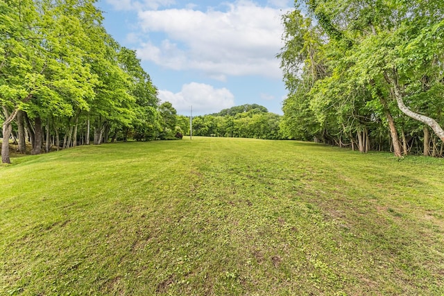 3124 Southall Rd, Franklin, TN 37064 - view of grassy yard featuring a wooded view