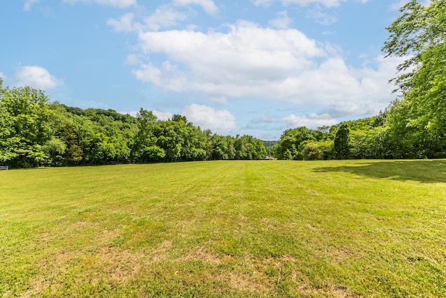 3124 Southall Rd, Franklin, TN 37064 - view of green lawn with a wooded view
