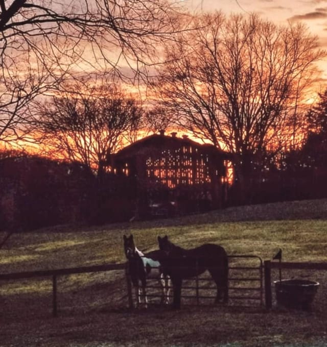 3124 Southall Rd, Franklin, TN 37064 - view of yard