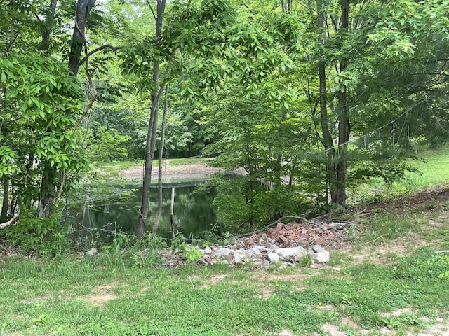 view of yard featuring a view of trees and a water view