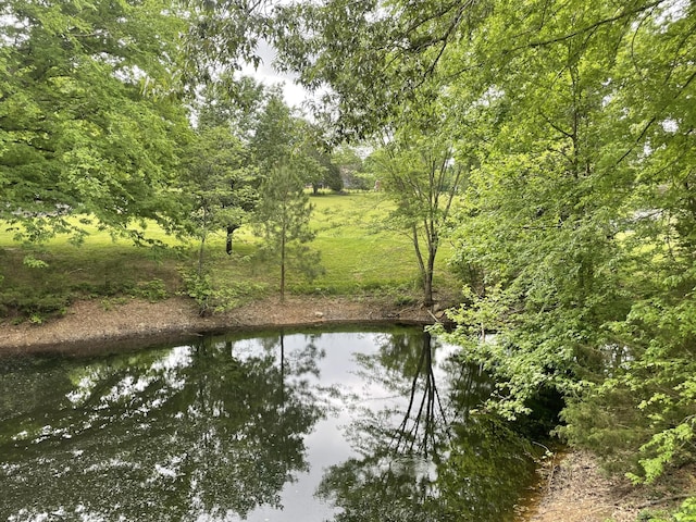 view of water feature