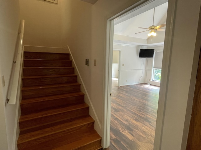 staircase featuring baseboards, ceiling fan, and wood finished floors