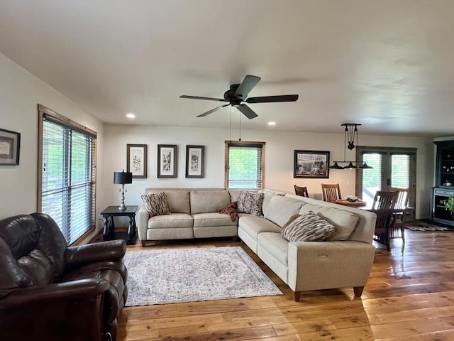 living area featuring light wood-style floors, a ceiling fan, and a healthy amount of sunlight