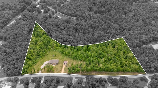 217 Rockhouse Rd, Hohenwald, TN 38462 - birds eye view of property featuring a forest view
