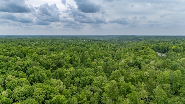 217 Rockhouse Rd, Hohenwald, TN 38462 - birds eye view of property with a wooded view