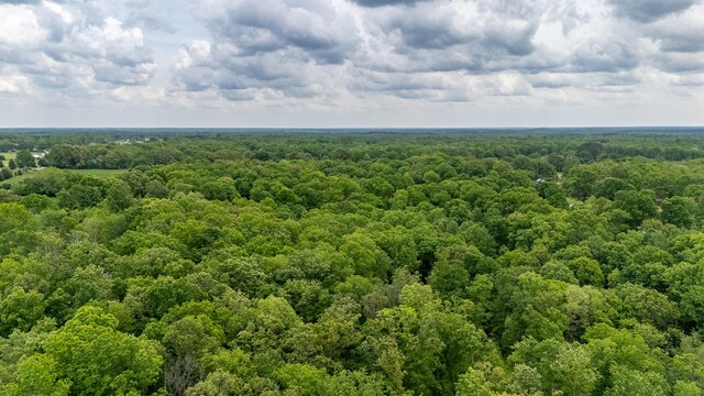217 Rockhouse Rd, Hohenwald, TN 38462 - birds eye view of property with a forest view