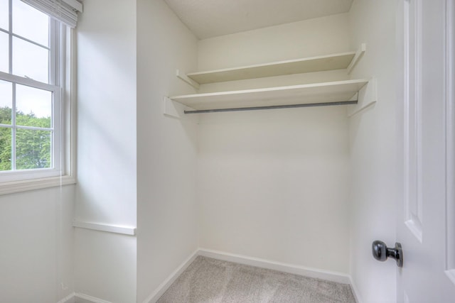 601 Foxborough Sq W, Brentwood, TN 37027 - view of closet