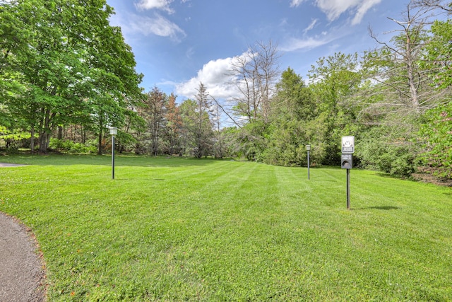 601 Foxborough Sq W, Brentwood, TN 37027 - view of green lawn
