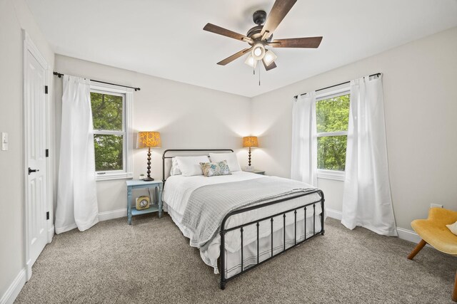 6437 Arno Rd, College Grove, TN 37046 - carpeted bedroom featuring multiple windows, baseboards, and ceiling fan