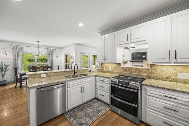 6437 Arno Rd, College Grove, TN 37046 - kitchen featuring appliances with stainless steel finishes, a sink, healthy amount of natural light, a peninsula, and crown molding
