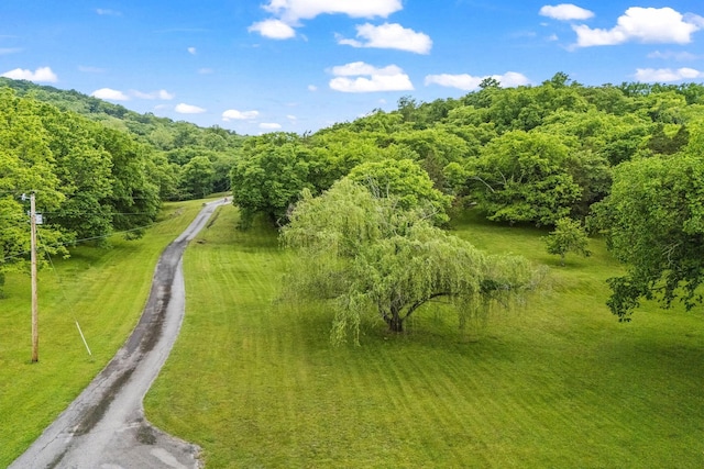 6437 Arno Rd, College Grove, TN 37046 - drone / aerial view of a heavily wooded area