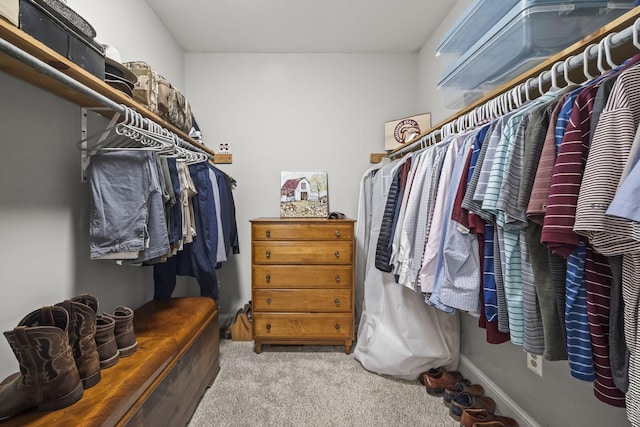 6437 Arno Rd, College Grove, TN 37046 - walk in closet with carpet
