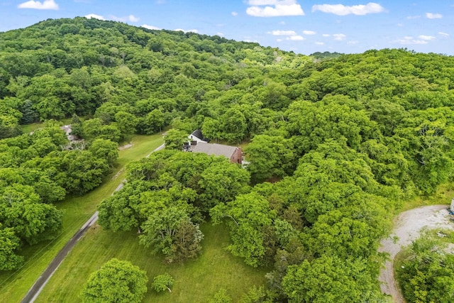 6437 Arno Rd, College Grove, TN 37046 - aerial view of property and surrounding area with a heavily wooded area