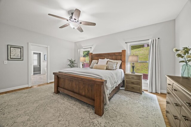 6437 Arno Rd, College Grove, TN 37046 - bedroom with multiple windows, wood finished floors, and baseboards