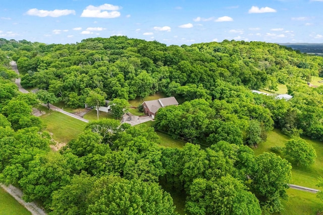 6437 Arno Rd, College Grove, TN 37046 - aerial view of a heavily wooded area