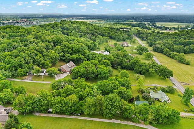 6437 Arno Rd, College Grove, TN 37046 - drone / aerial view