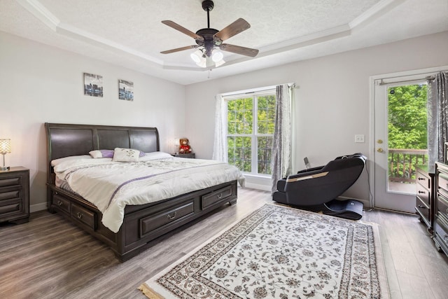 5512 Oak Chase Dr, Antioch, TN 37013 - bedroom with access to outside, multiple windows, light wood-style flooring, and a raised ceiling