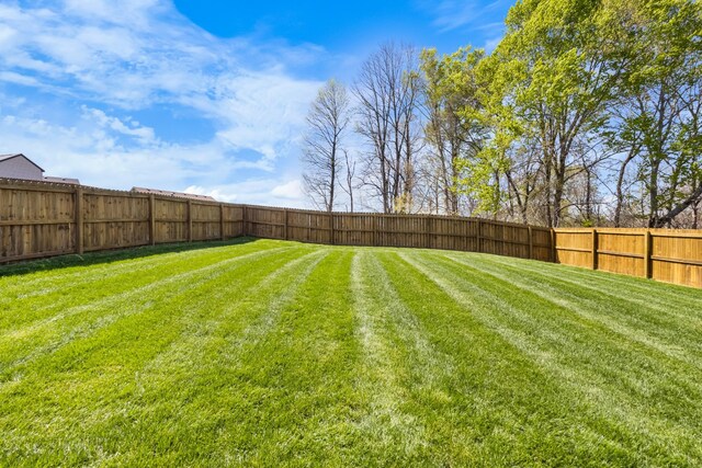 1145 Racker Dr, Clarksville, TN 37043 - view of yard with a fenced backyard