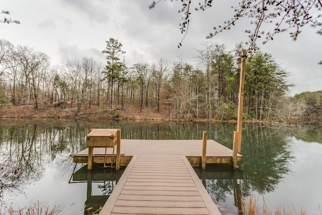 dock area with a water view and a view of trees