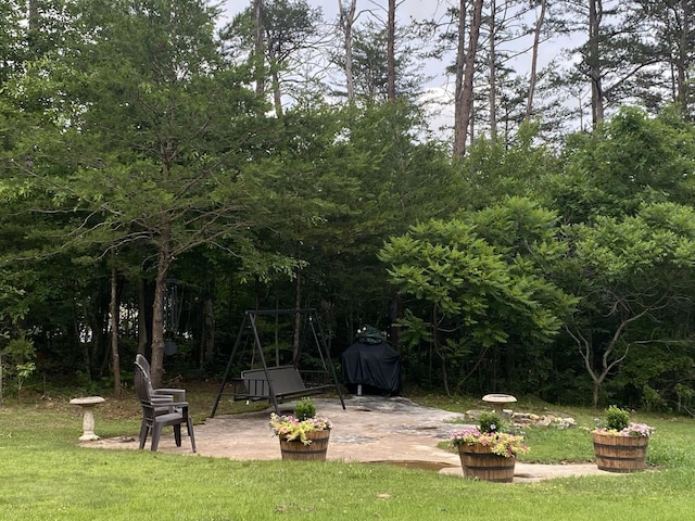 view of yard with a patio